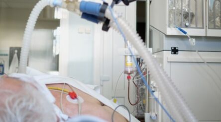 Image for Federal government announces $31.3 million purchase of Australian-made ventilators