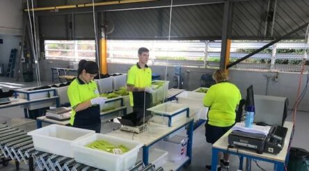 Image for Westlab begins manufacture of face shields