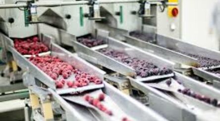 Image for Pandemic shows the value of reshoring, co-ops, says BCCM chief