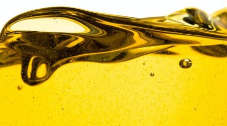 Image for What just happened to the price of oil?