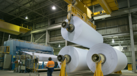 Image for Australian Made partners with AFPA supporting forest products