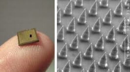 Image for Merck to use Australian platform technology for unnamed “vaccine candidate”