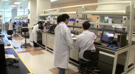 Image for ATO may deny R&D offset on JobSeeker payments