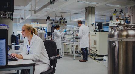 Image for IDT to scale up cannabis manufacture