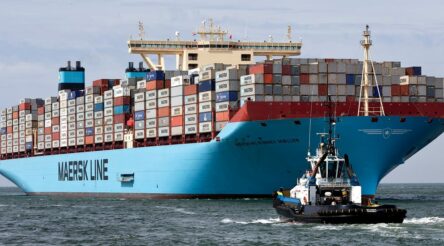 Image for Choose local over Chinese imports, accountancy advises