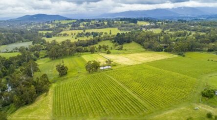 Image for At least 1,241 tonnes of microplastics are dumped into Aussie farmland every year from wastewater sludge