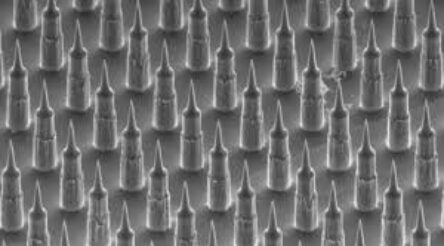 Image for Slowly getting closer to the pointy end