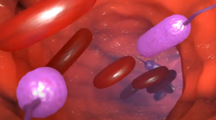 Image for Recce Pharmaceuticals tests Covid treatment