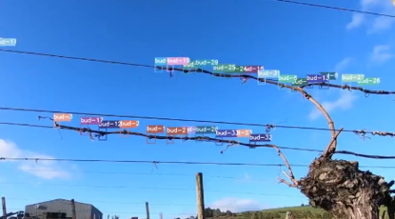 Image for Wine vision to triple exports to $10 billion