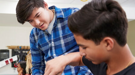 Image for VET in school students on the rise