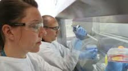 Image for We can’t let STEM skills become a casualty of COVID-19