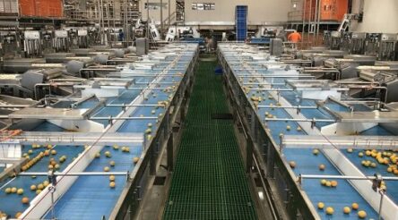 Image for How SPC kept in business with the borders closed – by Robert Giles