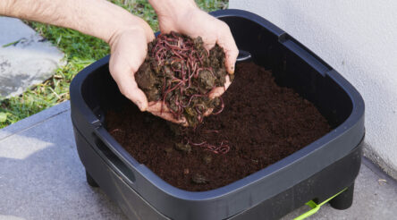 Image for Considering a worm’s-eye view aids in design award win 