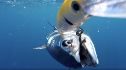 Image for Startup earns $178,250 grant from AMGC to support local manufacture of dual-lens fishing camera