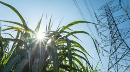 Image for Toowoomba council considers waste-to-energy trial