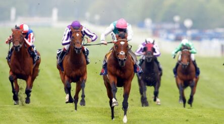 Image for Picking winners: what is it, are we doing it, and does that matter?