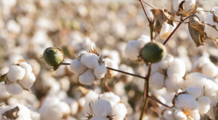 Image for Manufacturing news briefs – stories you might have missed