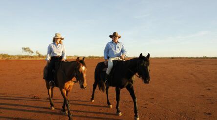 Image for Andrew Forrest buys bootmaker R.M. Williams