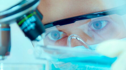 Image for Commercialisation funding a key to recovery