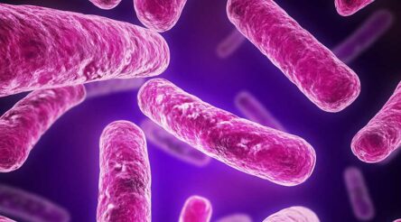 Image for Hope for Immuron anti-diarrhoea vaccine