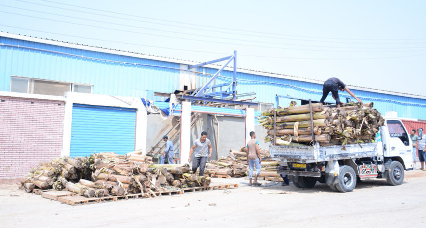 Banana-factory-850×455-1-850×455 (1)