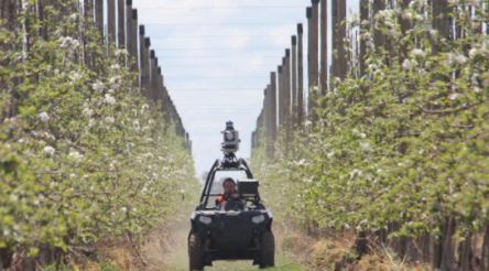 Image for Working smarter with data – AI gives agriculture the competitive edge