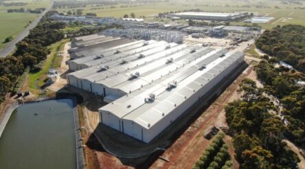 Image for Seeley International cools Treasury Wine’s Barossa expansion