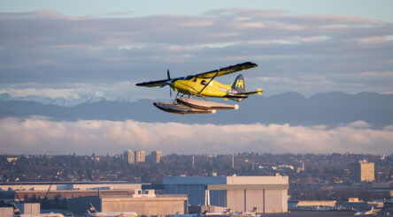 Image for The one that quietly got away?