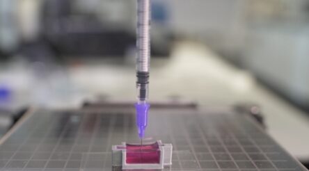 Image for UNSW team 3D prints bone-like structures containing living cells