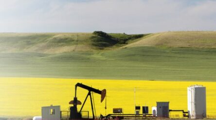 Image for SciDev’s record quarter in water treatment chemicals