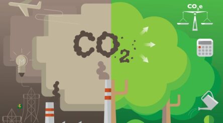 Image for Net-zero, carbon-neutral, carbon-negative … confused by all the carbon jargon? Then read this