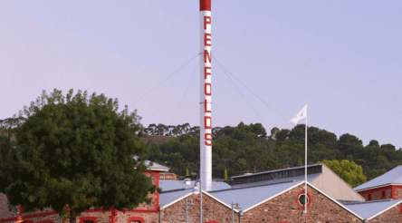 Image for Treasury Wine Estates profit slumps as it exits China