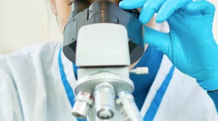 Image for Cann Group suffers $3.6 million cyber scam