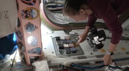 Image for Anti-microbial coating tested on the International Space Station
