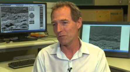 Image for Researchers fabricate muscles that work at room temperature