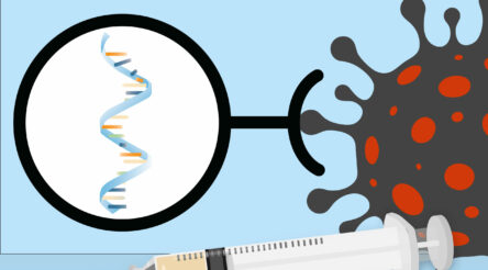 Image for Invest in Australian vaccine production: Australian Academy of Science