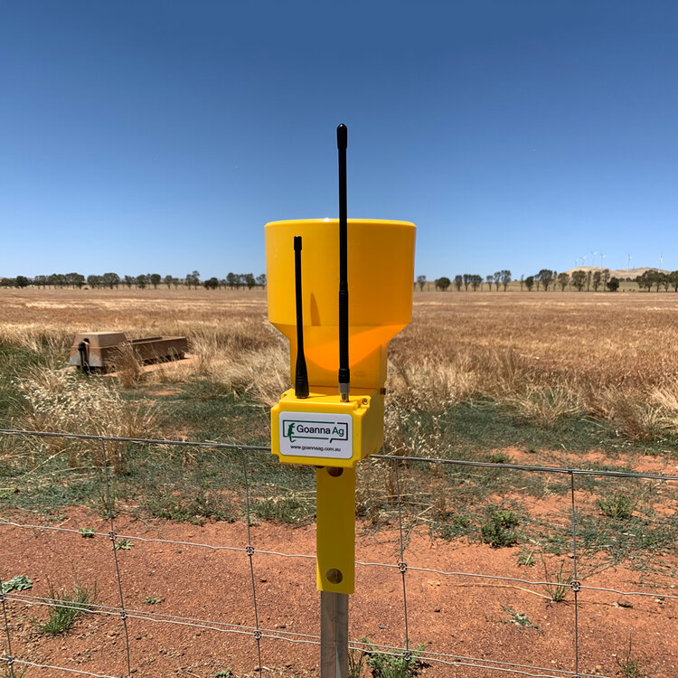 goanna-ag-gosense-gorainsat