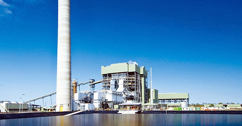 scl-kogan-creek-twitter