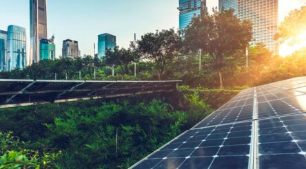 Image for Clean tech: the great green opportunity?