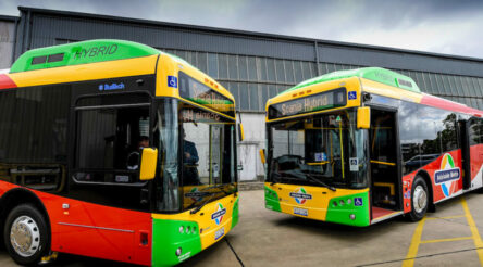 Image for Electric bus company gears up for zero-emission growth