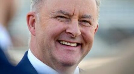 Image for Albanese doubles up on manufacturing intervention – report