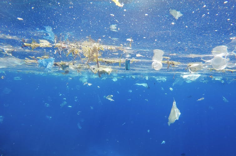 file-20210301-19-6lze