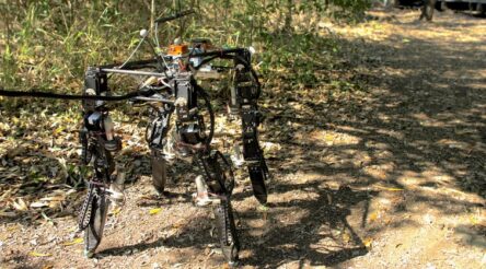 Image for Shape-shifting robots in the wild: the DyRET robot can rearrange its body to walk in new environments