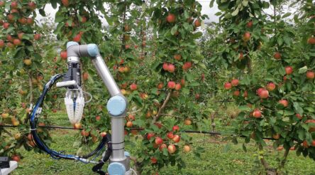 Image for Monash researchers develop robot apple harvester