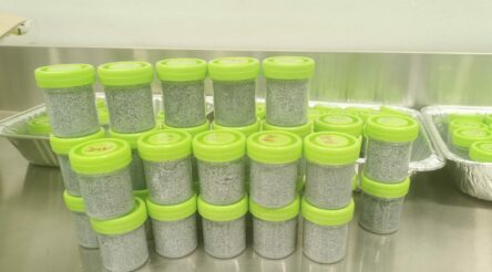 Image for Fibres and composites transforming industry – boron nitride nanotubes