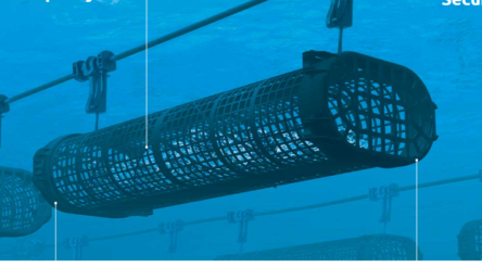 Image for SA government shells out for oyster manufacturer