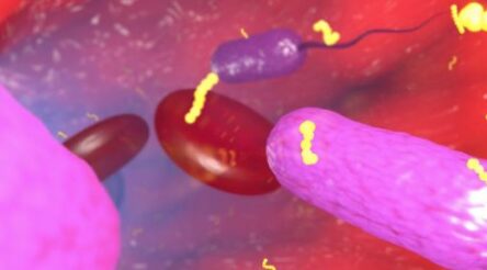 Image for Recce Pharmaceuticals to test for burn healing