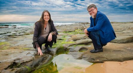 Image for Research shows 3D bioprinted seaweed molecules can help heal 