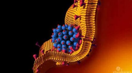 Image for Starpharma in strong position as R&D gathers pace