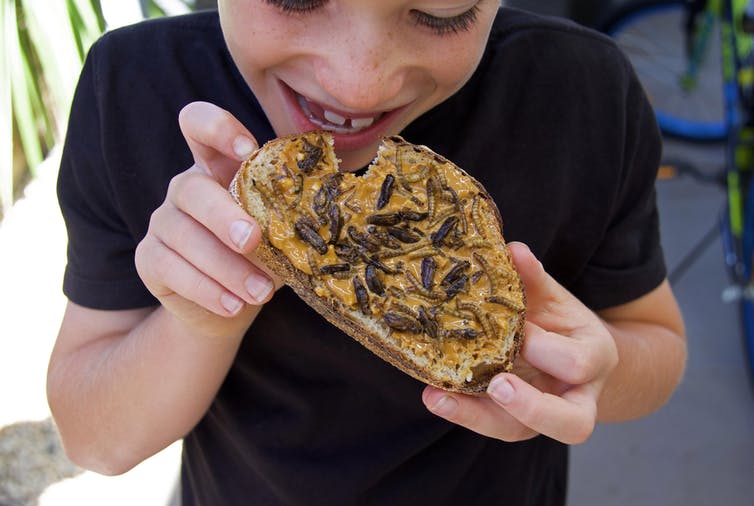 file-20210428-19-1po00w2